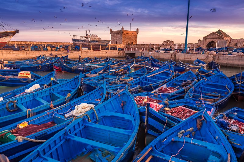FAQ Enjoy Essaouira Essaouira - Questions fréquentes