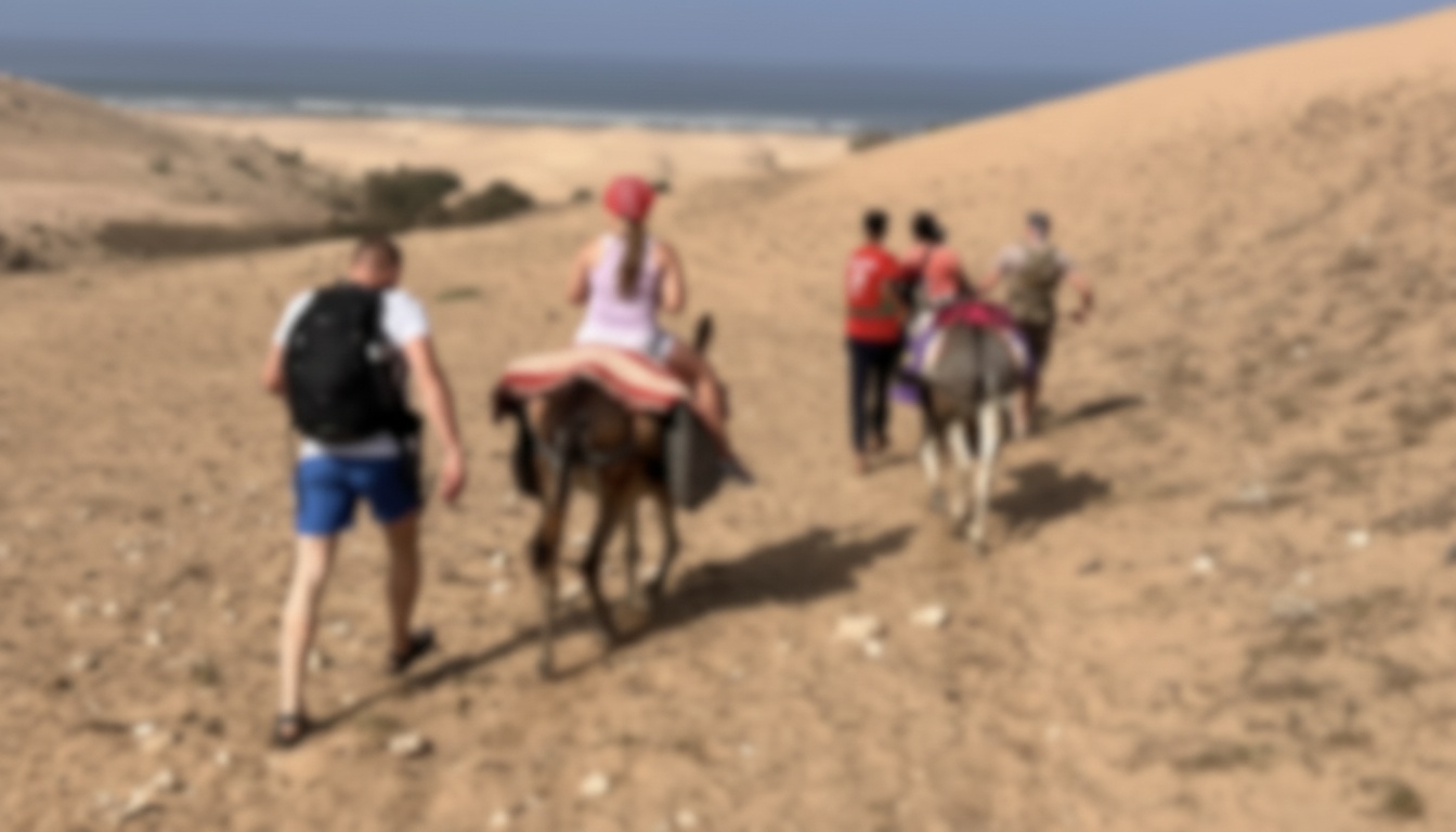 Balade à dos d'âne – Plage de Sidi M'barek