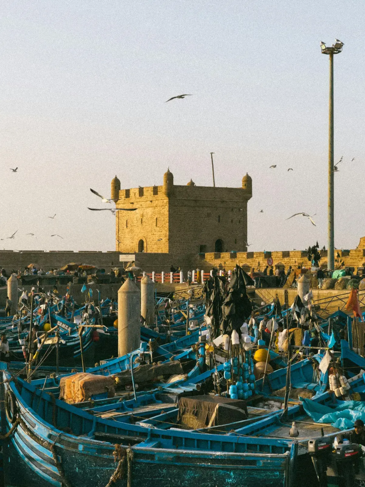 Après-midi : port, bateaux et ambiance maritime