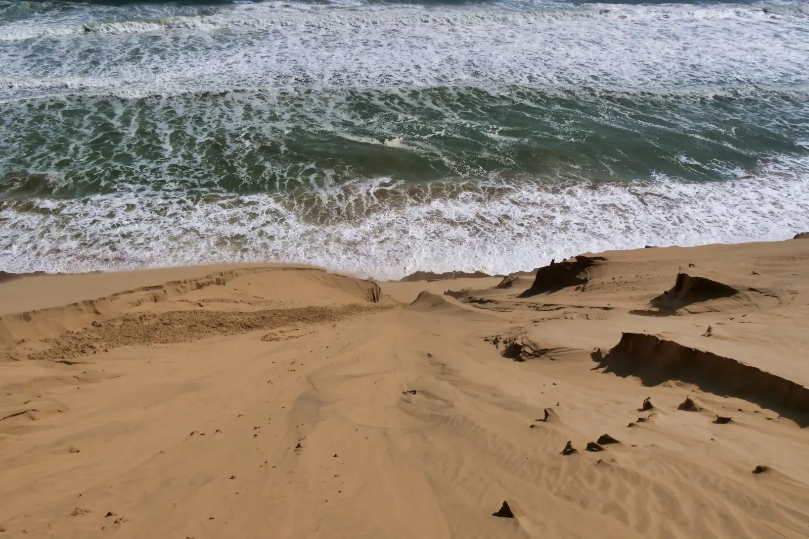 Découvrez la nature autour d'Essaouira Nature et paysages autour d'Essaouira