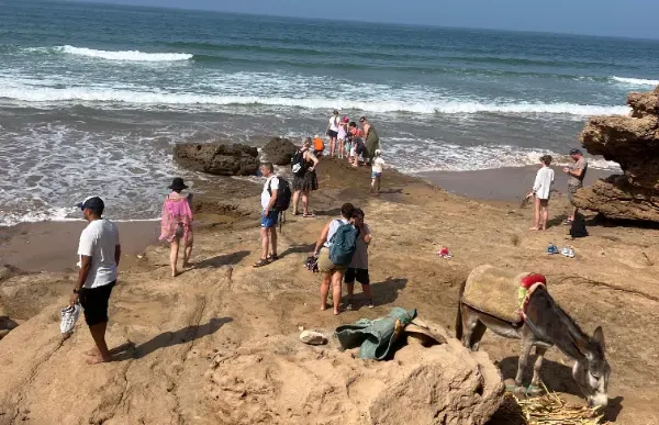 Pêche traditionnelle – Sidi M'Barek - Enjoy Essaouira Pêche traditionnelle – Sidi M'Barek