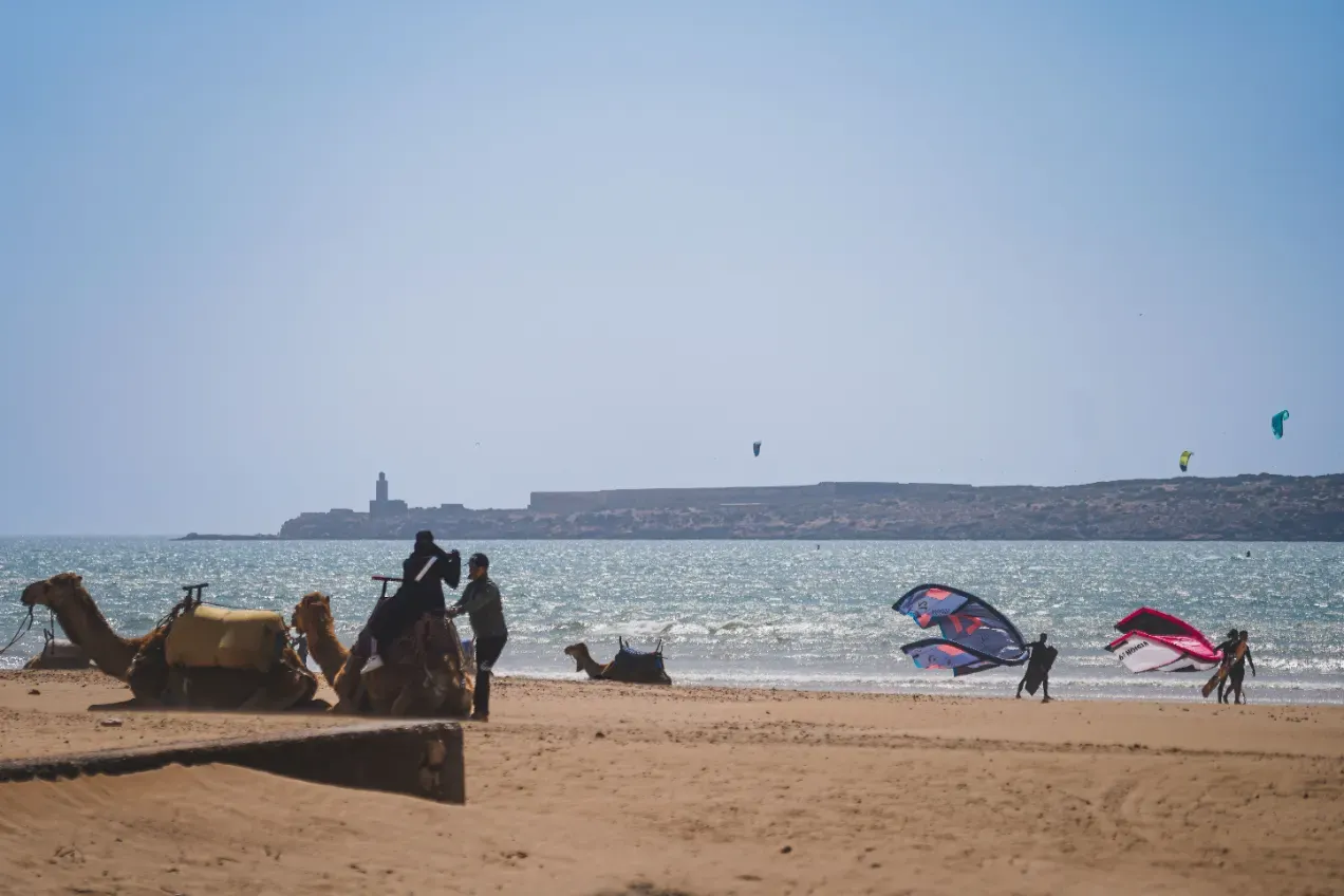 Essaouira, destination slow travel : pourquoi cette ville invite naturellement à ralentir
