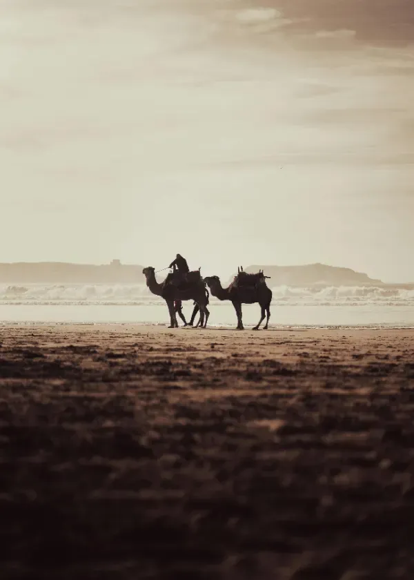 Les plus belles plages autour d'Essaouira : où aller selon vos envies