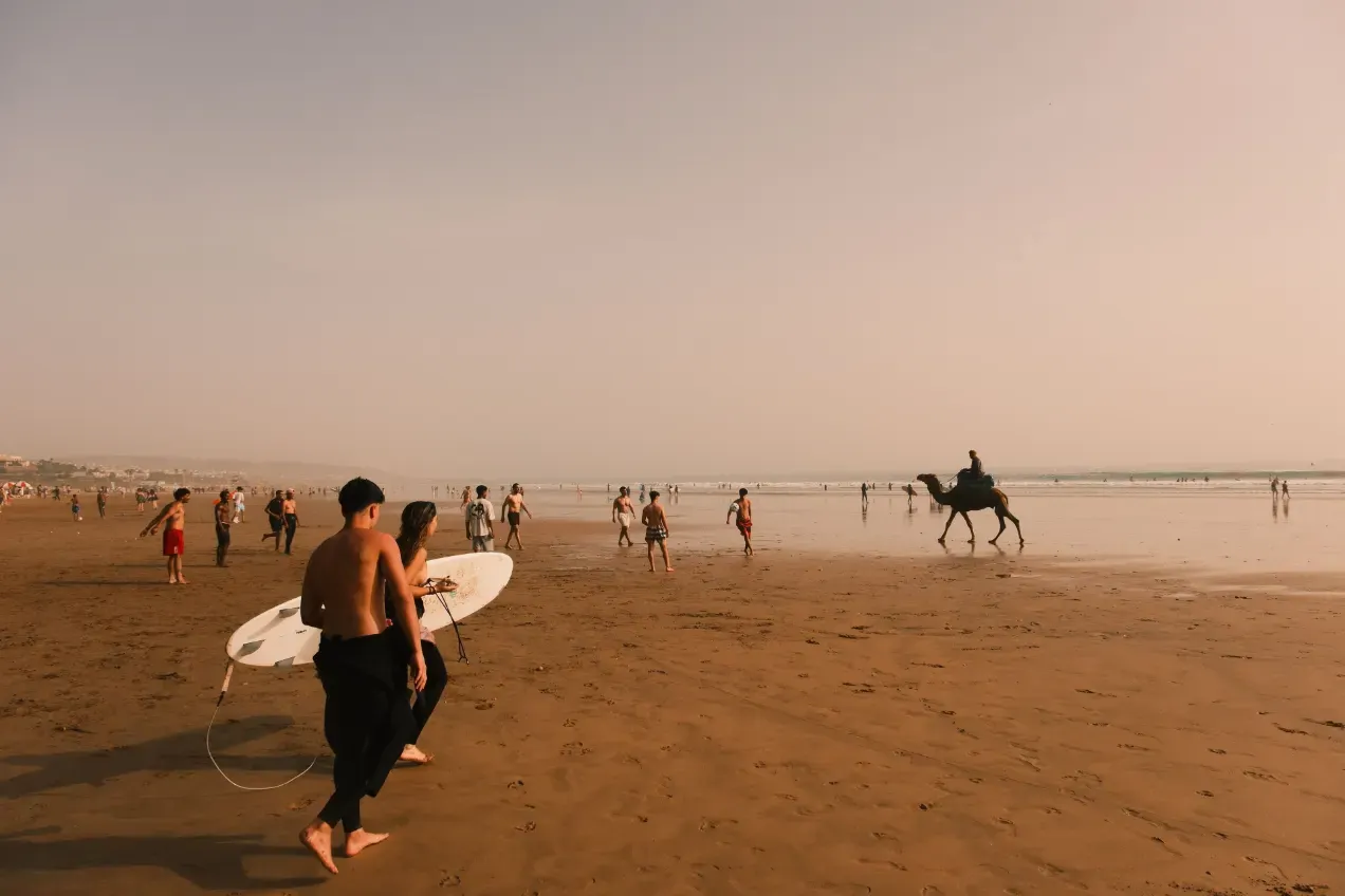Plage d'Essaouira en fin de journée, promeneurs, surfeurs et dromadaire sur le sable