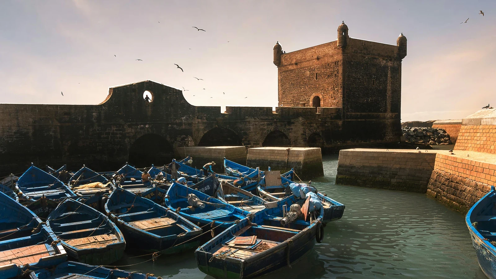 Essaouira en 1 jour depuis Marrakech : est-ce jouable, et comment réussir sa journée Le port d'Essaouira et ses bateaux bleus, arrivée en journée depuis Marrakech